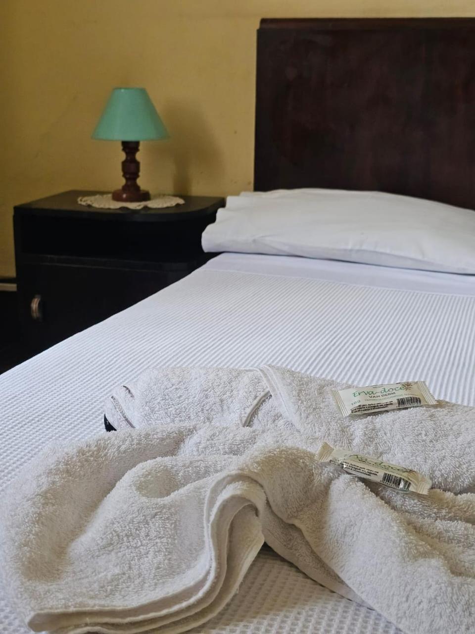 Varzea Palace Hotel Teresópolis Eksteriør bilde